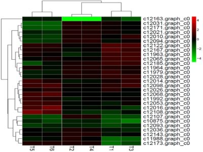 差異表達miRNA聚類分析