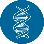 繪制GO、KEGG分類富集圖