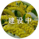 谷子數(shù)據(jù)庫(kù)