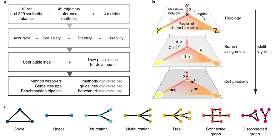 圖1 ?軌跡分析算法評估流程及7種細(xì)胞分化軌跡類型[1]