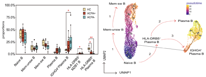 類風(fēng)濕關(guān)節(jié)炎患者外周血B細(xì)胞分析 類風(fēng)濕關(guān)節(jié)炎患者外周血B細(xì)胞分析