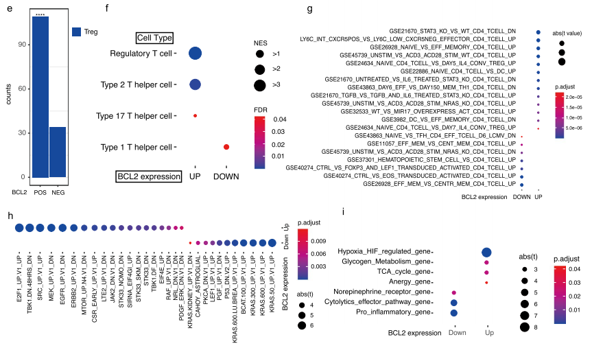 CD4+ T細胞中的BCL-2表達與Treg相關