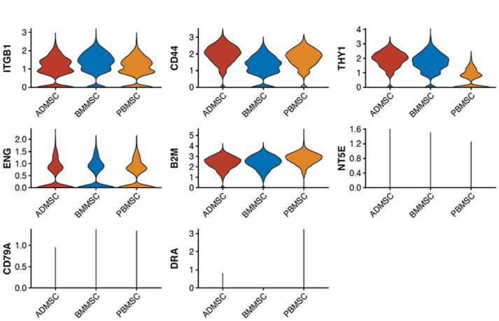 圖1從3個供者匹配的組織來源分離的馬間充質(zhì)基質(zhì)細胞(MSCs)的表征