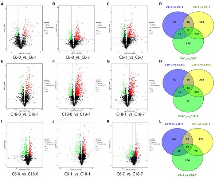 差異累積代謝物的火山圖，以及對照與其時間點的比較