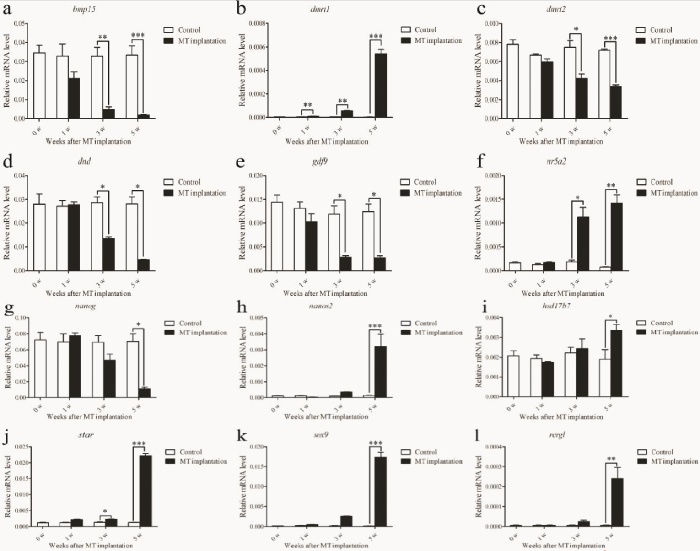 圖 8 RT-qPCR 驗(yàn)證性逆轉(zhuǎn)期間所選基因的表達(dá)