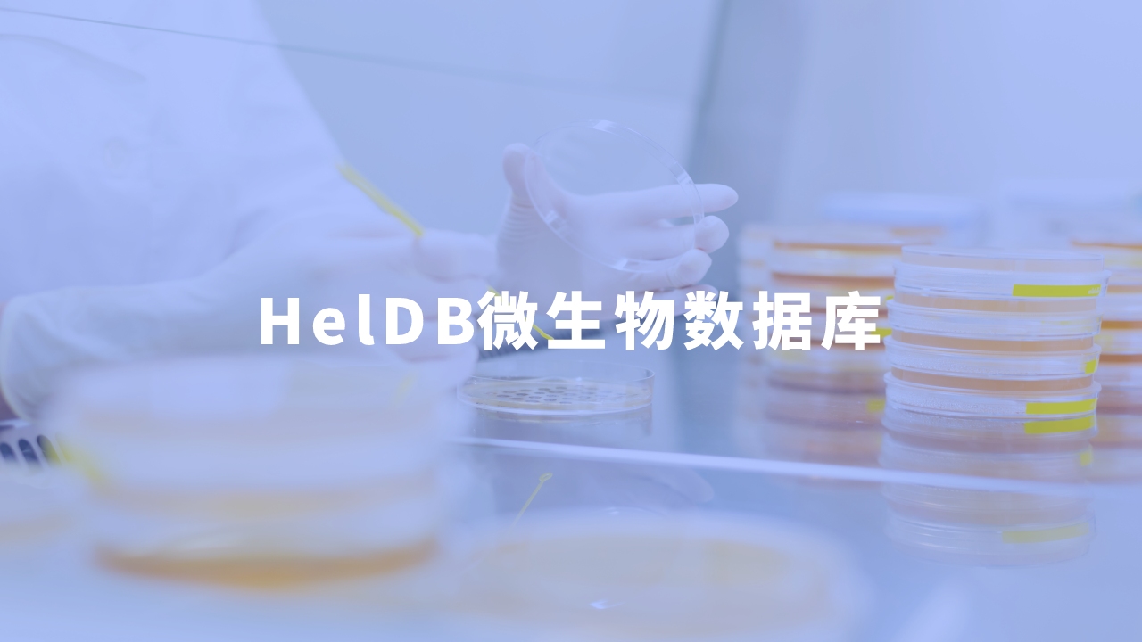 合作單位：河南師范大學(xué)