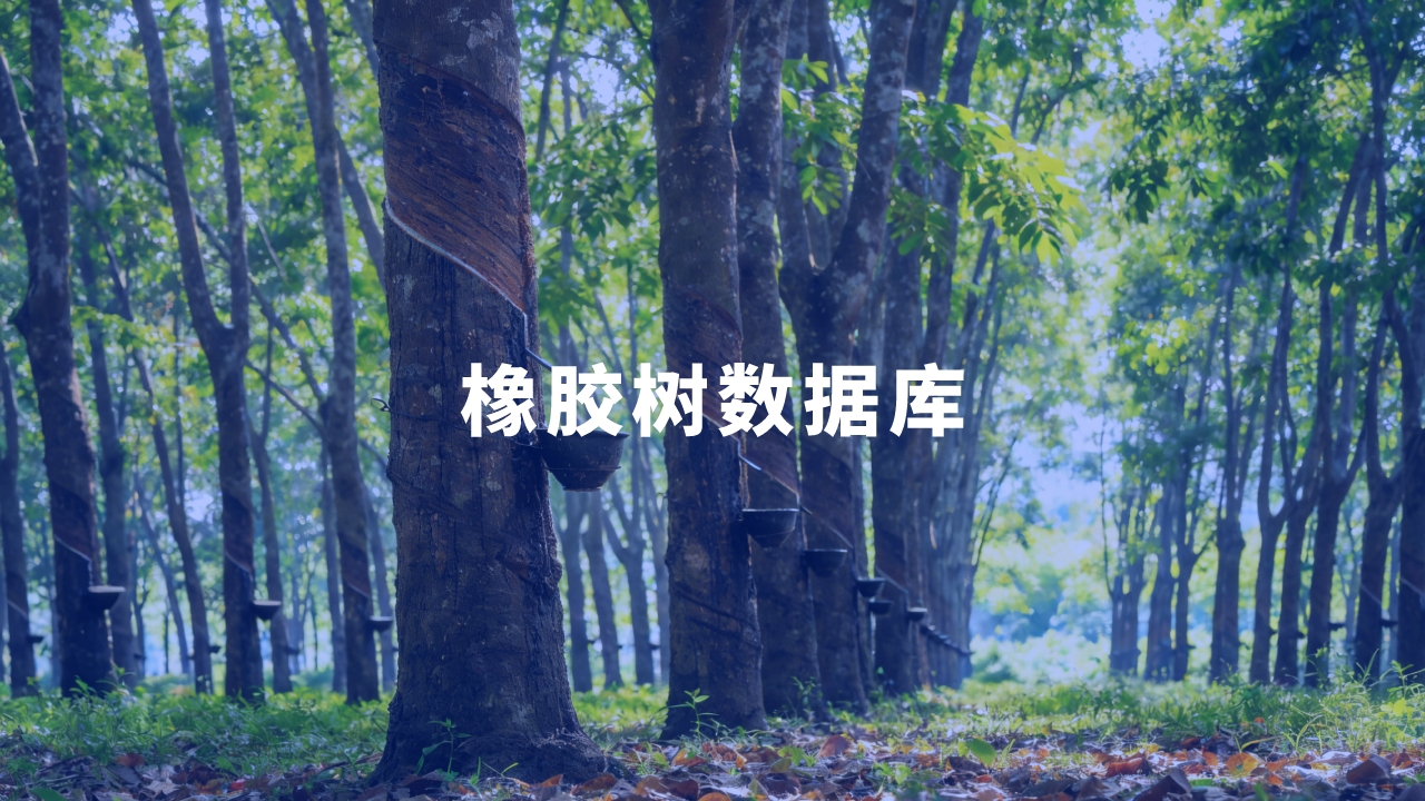 合作單位：中國熱帶農(nóng)業(yè)科學(xué)院橡膠研究所