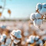 陸地棉進(jìn)化軌跡與重要性狀遺傳架構(gòu)被破解！《Nature Genetics》